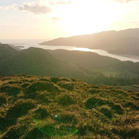 Abergwynant Farm Glamping & Apartments 多尔盖罗 外观 照片