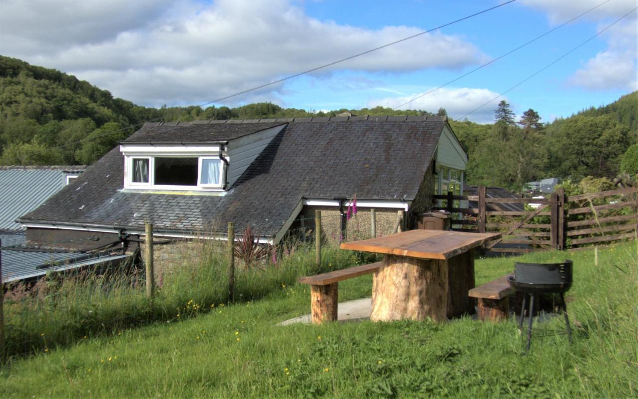 Abergwynant Farm Glamping & Apartments 多尔盖罗 外观 照片