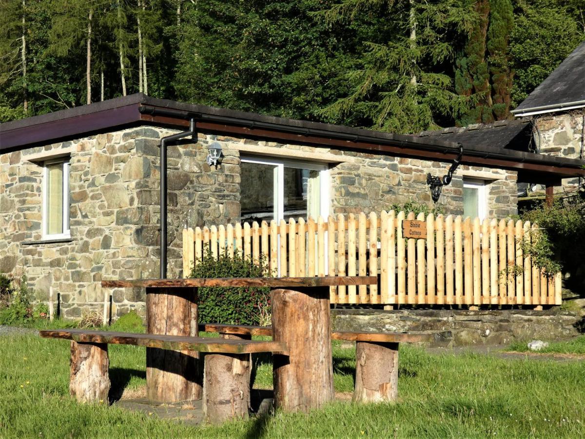 Abergwynant Farm Glamping & Apartments 多尔盖罗 外观 照片