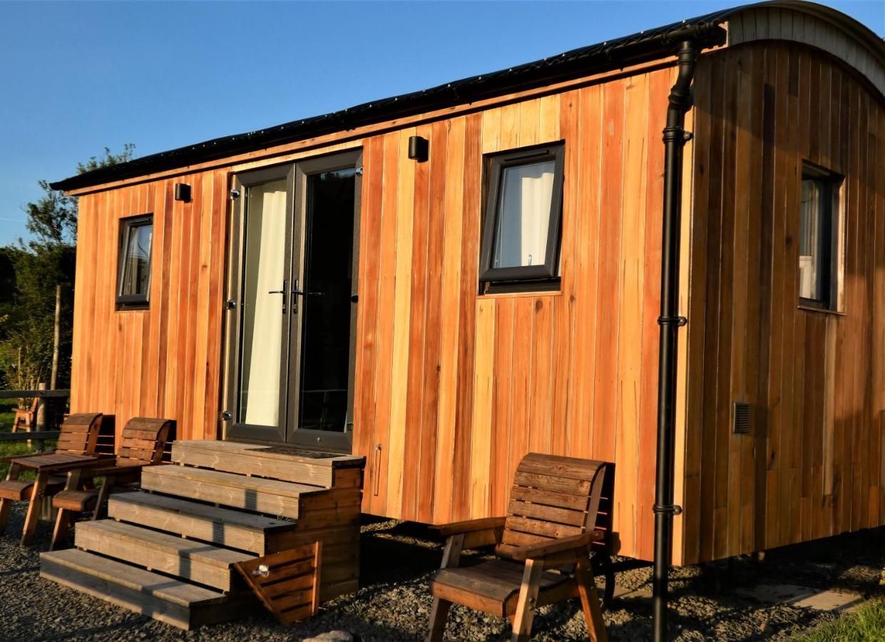 Abergwynant Farm Glamping & Apartments 多尔盖罗 外观 照片