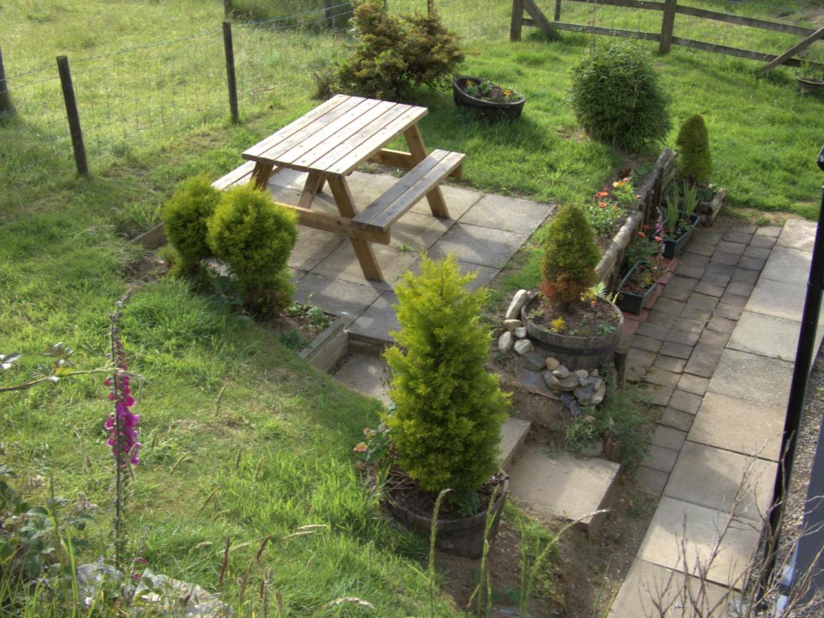 Abergwynant Farm Glamping & Apartments 多尔盖罗 外观 照片