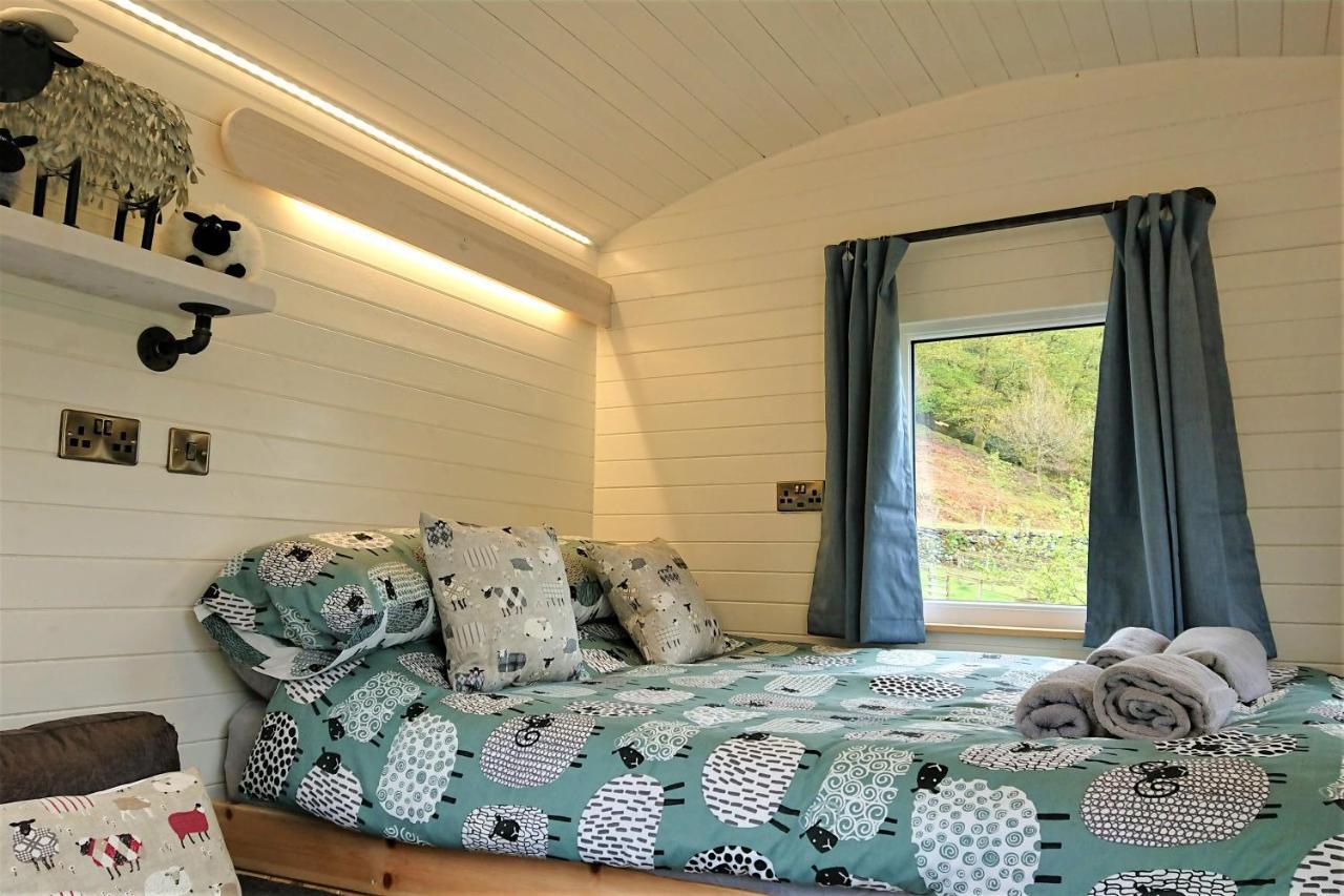 Abergwynant Farm Glamping & Apartments 多尔盖罗 外观 照片