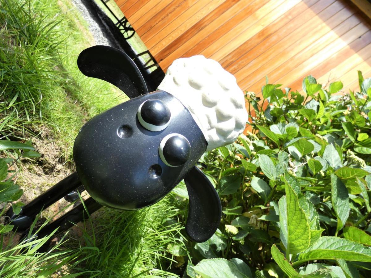 Abergwynant Farm Glamping & Apartments 多尔盖罗 外观 照片
