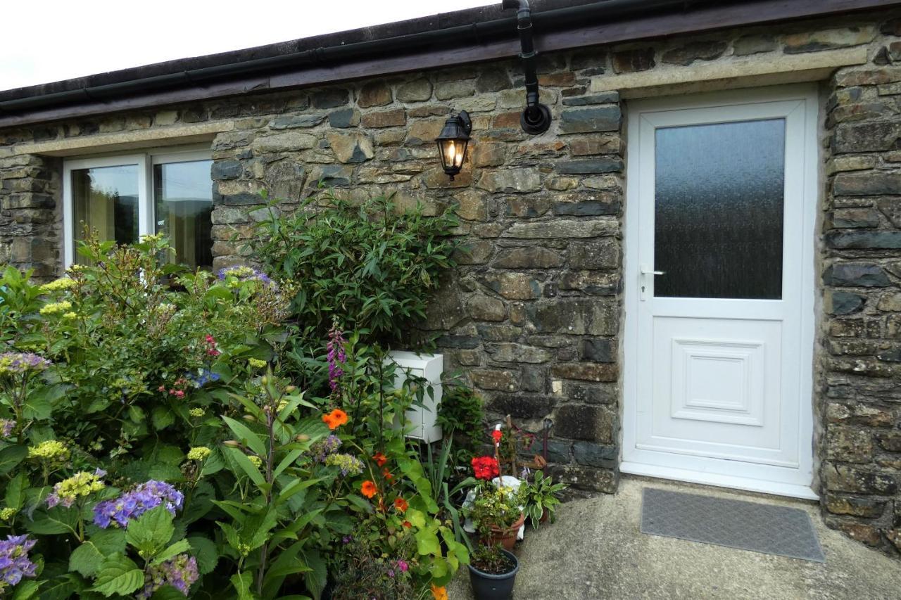 Abergwynant Farm Glamping & Apartments 多尔盖罗 外观 照片