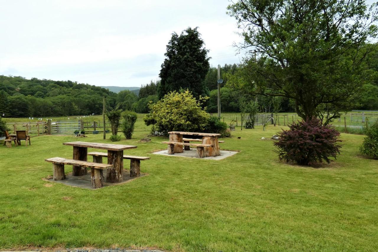 Abergwynant Farm Glamping & Apartments 多尔盖罗 外观 照片