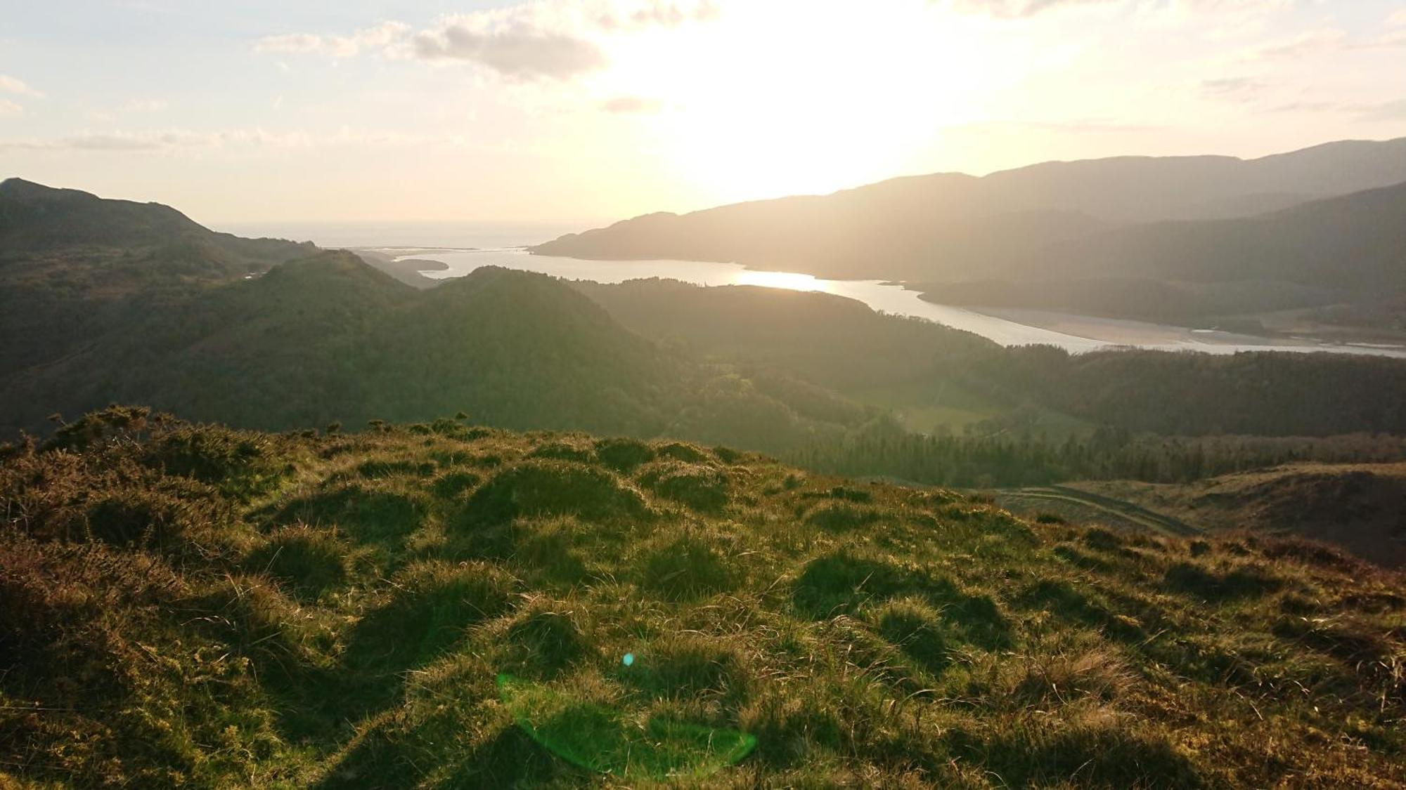 Abergwynant Farm Glamping & Apartments 多尔盖罗 外观 照片