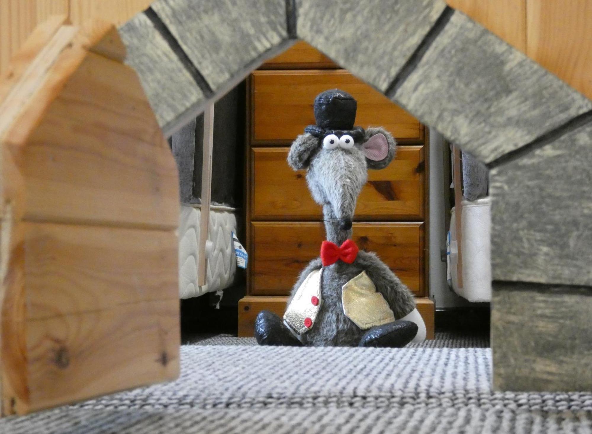 Abergwynant Farm Glamping & Apartments 多尔盖罗 外观 照片