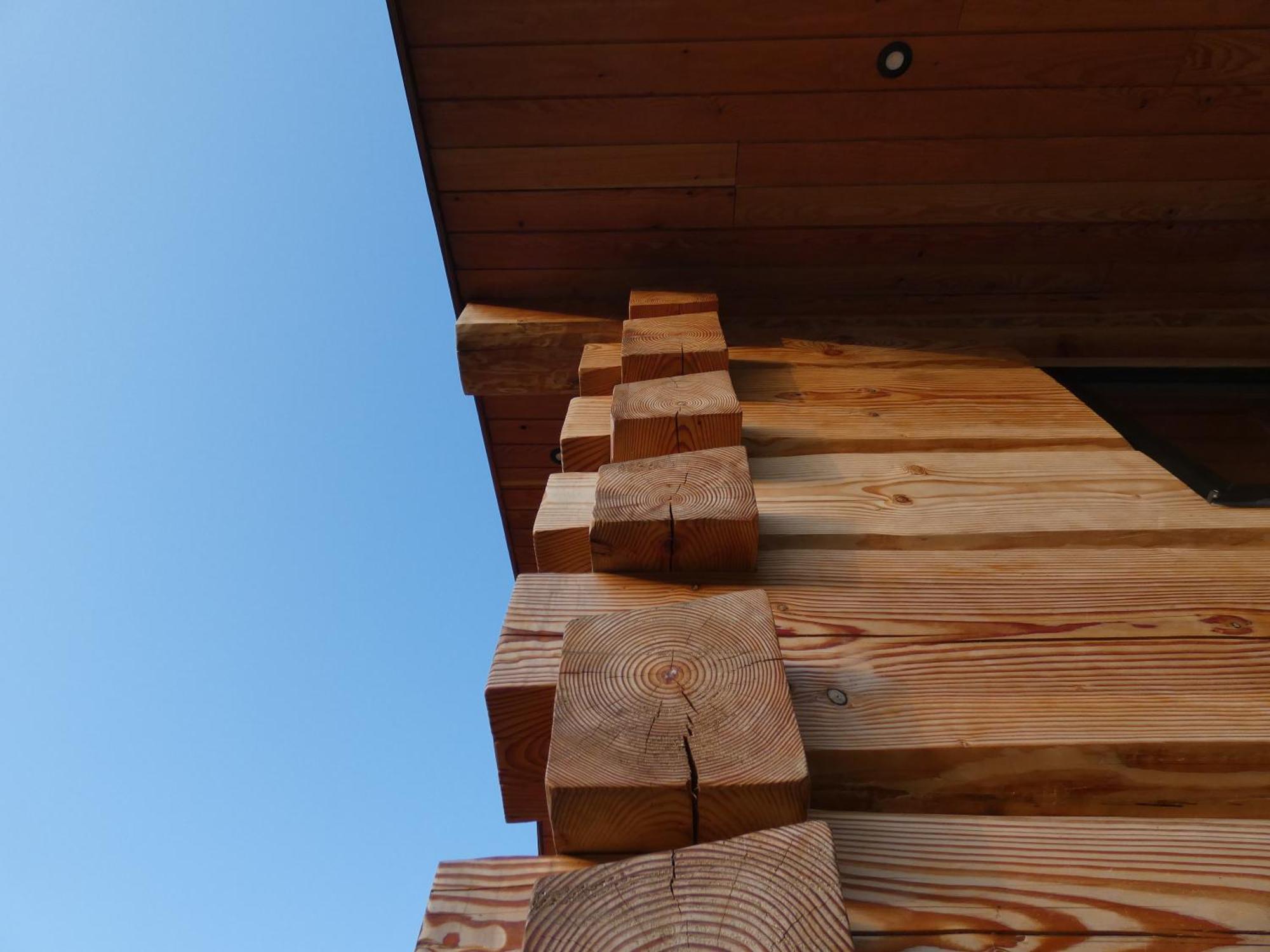 Abergwynant Farm Glamping & Apartments 多尔盖罗 外观 照片